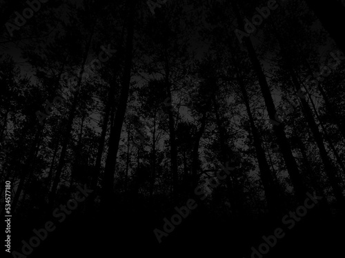 Czarny las tło