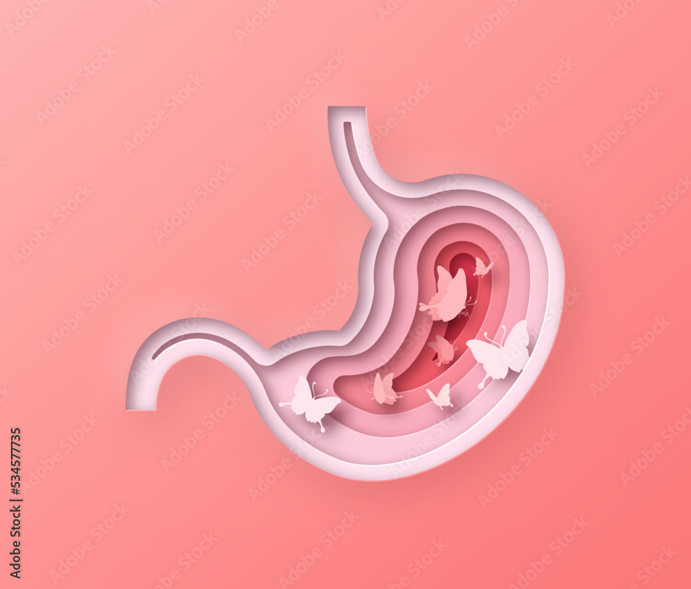 Realistic 3D paper cut human stomach with butterflies inside. Papercut