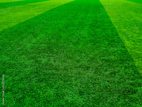 Green grass texture background grass garden concept used for making green background football pitch, Grass Golf, green lawn pattern textured background... © Sittipol 