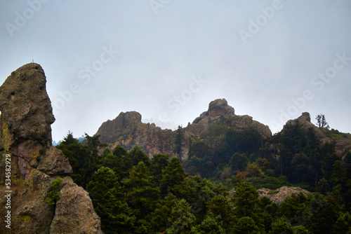 forest with mountains in the background and gray sky and big stone in foreground in mineral del chico hidalgo 