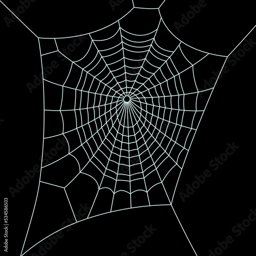 Halloween holiday attribute web on black background, isolated