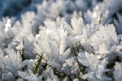 Raureif, Eis, Eiskristalle in gefrorener Wiese im Winter