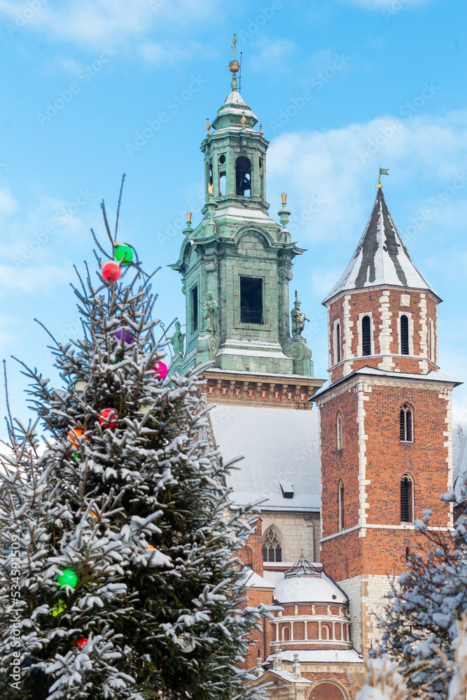 Royal Wawel Castle view on winter time