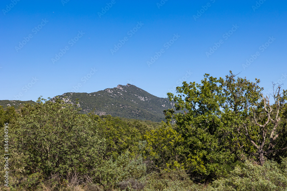 Paysage sur le Pic Saint-Loup depuis le sentier de Sauzet dans la forêt