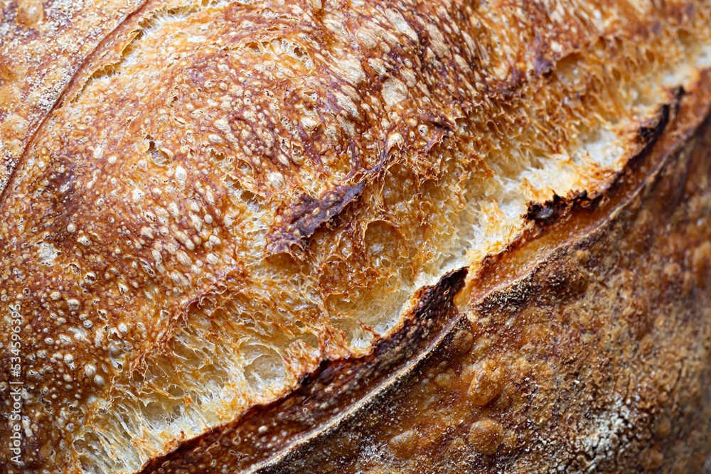 Fresh homemade sourdough bread with whole grain flour. Healthy food, texture.