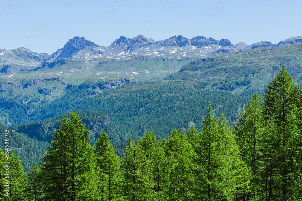 The mountains and woods of the natural park Alpe veglia - alpe devero, during a sunny day, near the town of Baceno, Italy - June 2022.