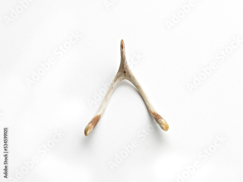 Wishbone on white background.