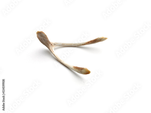 Canvastavla Wishbone on white background.