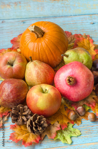 Pumpkin, autumn fruits and fall deco, still life.