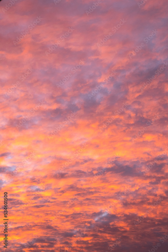 beautiful morning sky filled with crimson and orange colors , autumn sunrise background.
