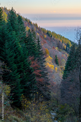 autumn in the mountains