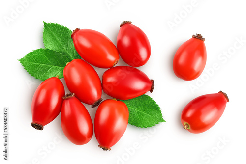 Rose hip isolated on a white background with full depth of field. Top view. Flat lay.