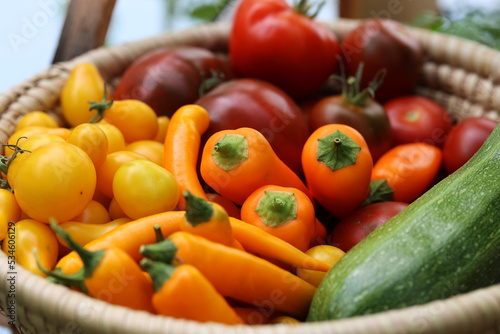 Colorful home-grown vegetables in wicker basket vegetable rainbow 