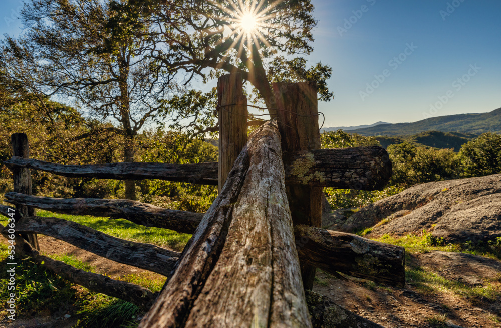 Old wooden fence with sunset mount views