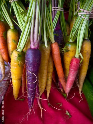 bunches of purple, orange, and yellow Rainbow carrots with green leafy stems