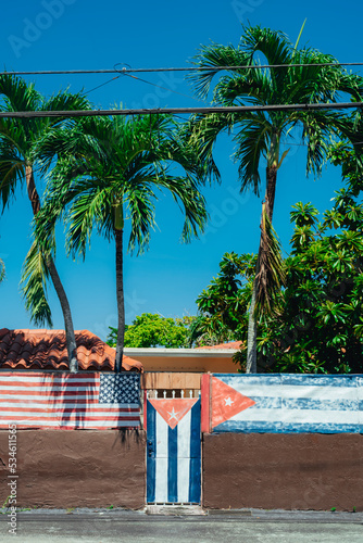 Photography flag usa Cuba United States palms miami Hause tree sky blue