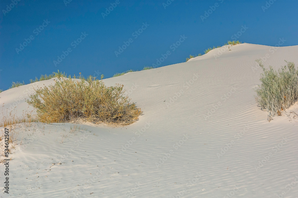 White Sands National Park, New Mexico, USA. White Sands National Park, New Mexico, USA.