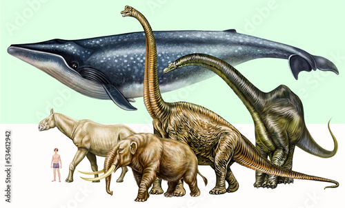 Comparison of the size of the blue whale with the size of dinosaurs