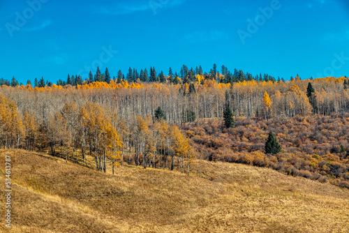 Fall colours in the valley. Ghost Land Use Area, Alberta, Canada