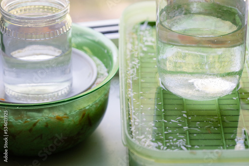 Pickling sauerkraut in plastic containers on the windowsill, glass jars with water, close-up. The concept of food from fermented canned vegetables