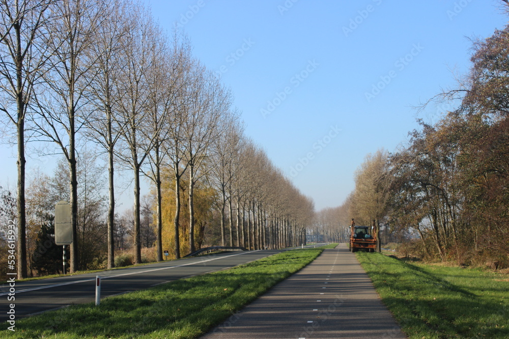 Beautiful landscape of autumn in the park by the road in Netherlands Beautiful landscape of autumn in the park by the road in Netherlands