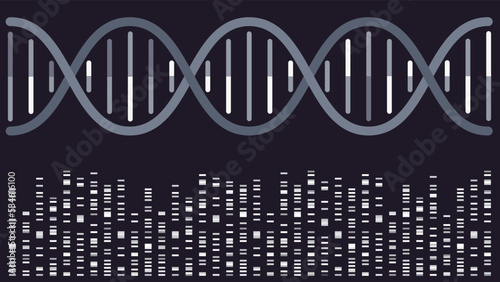 DNA double helix with sequencing bands vector illustration background