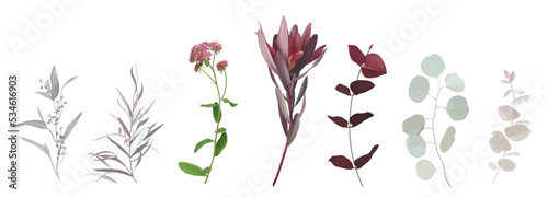 Burgundy red tropical leucadendron, eucalyptus, agonis, oregano flower stems