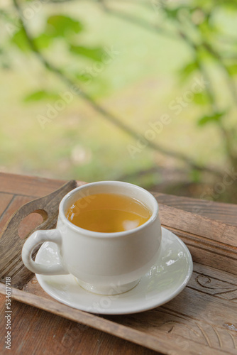 green herbal tea in a white cup with a saucer on a wooden table in a green autumn garden on a sunny day