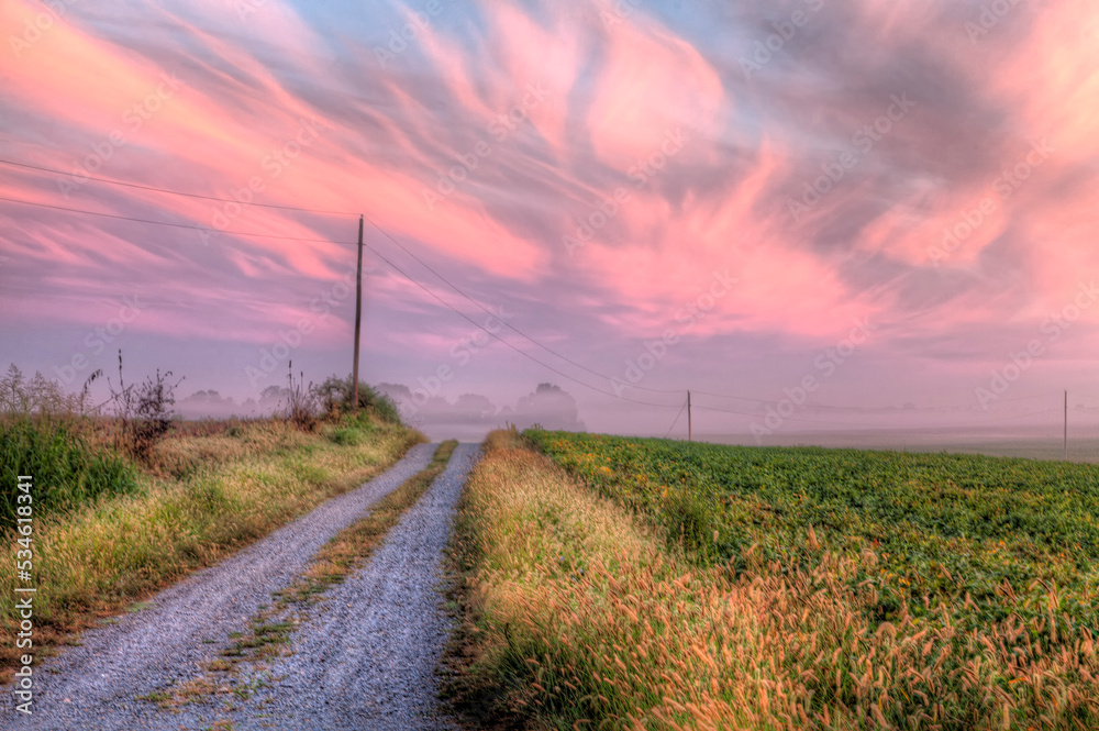Lonely Country Road heading into the mist with dazzling colors in the sky on a late summer morning. Lonely Country Road heading into the mist with dazzling colors in the sky on a late summer morning.