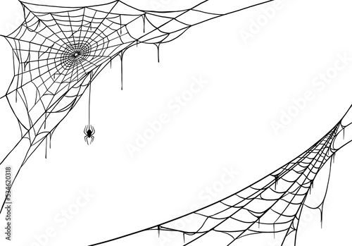 Spider web for cards and background for Halloween october holidays