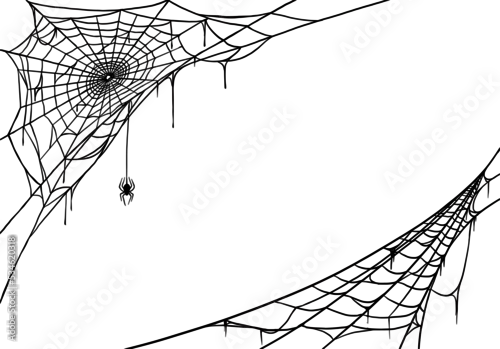 Obraz Spider web for cards and background for Halloween october holidays