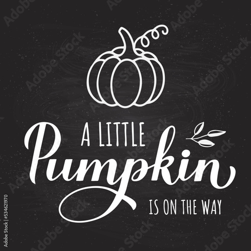 Little Pumpkin is on the way calligraphy hand lettering on chalkboard background. Fall baby shower decorations. Autumn quote. Vector template for poster, sign, invitation, etc