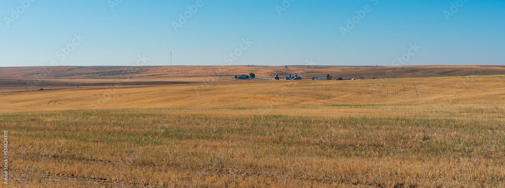 Fototapeta premium Farmland in Washington state, USA after harvesting