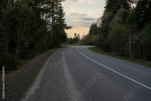 Empty asphalt road in nice peaceful coniferous forest.