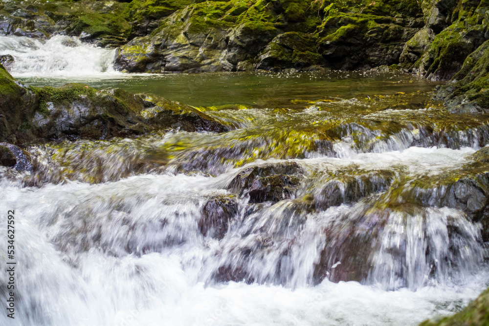 Fototapeta premium 滝壺の後