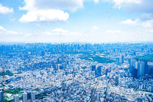 Canvas Print Aerial photograph of central Tokyo