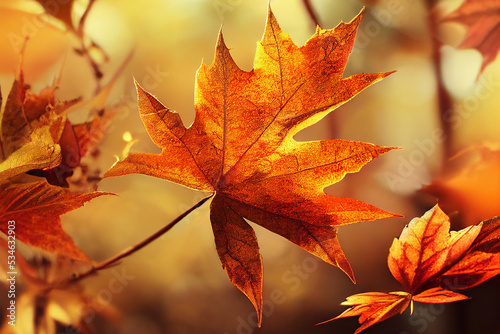 Autumn leaf in orange. © Misfit Stock