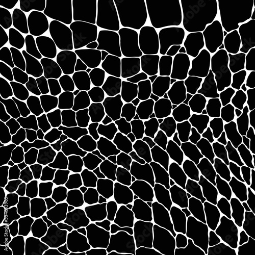 Crocodile or alligator skin print pattern seamless. Monochrome leather fashion, wallpaper or background and more.