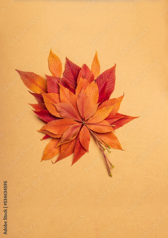 Vertical Fall and Autumn themed image of orange and red fall colored leaves on a beige background with copy space for text and design. Vertical Fall and Autumn themed image of orange and red fall colored leaves on a beige background with copy space for text and design.