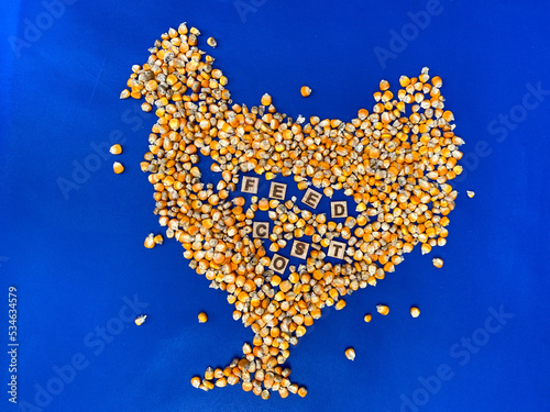 Corn for Poultry Feed, Cost Production and Performance