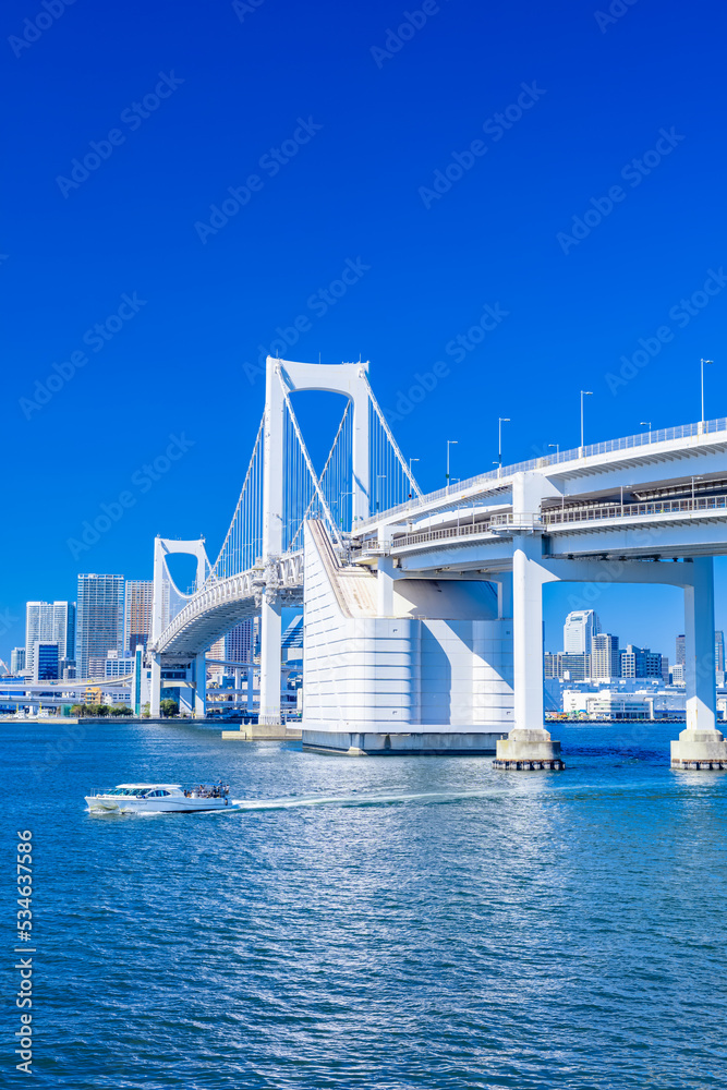 Obraz premium 東京 台場公園からのレインボーブリッジ