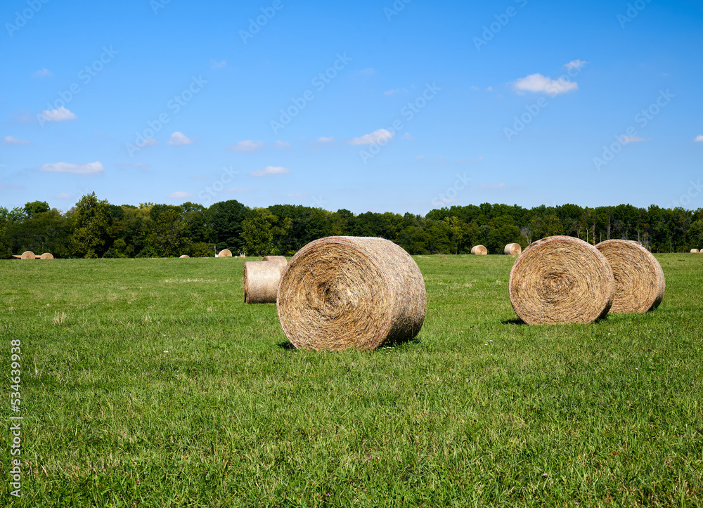 Scenic View of Hay Bales in a Grass Field Scenic View of Hay Bales in a Grass Field