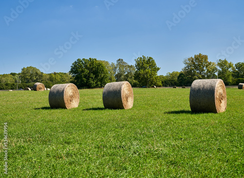 Scenic View of Hay Bales in a Grass Field with Blue Skies 