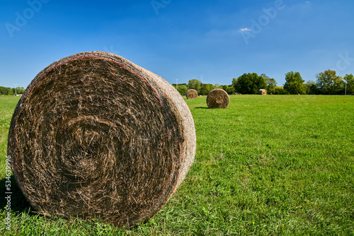 hay bales in the field photo