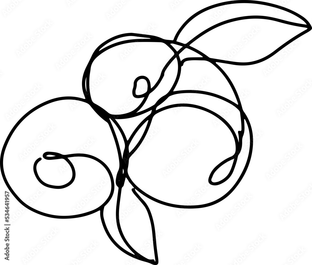 berry fruit in continuous line art drawing style. Black line sketch on white background. Vector illustration berry fruit in continuous line art drawing style. Black line sketch on white background. Vector illustration