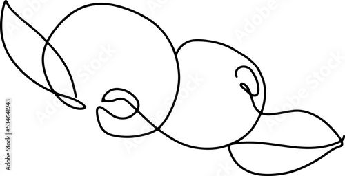 berry fruit in continuous line art drawing style. Black line sketch on white background. Vector illustration