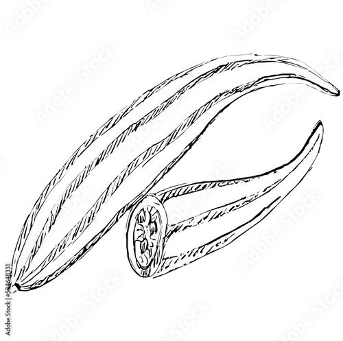 Snake gourd