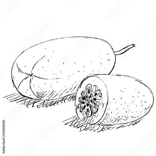 Ash gourd