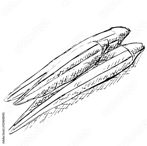 Okra