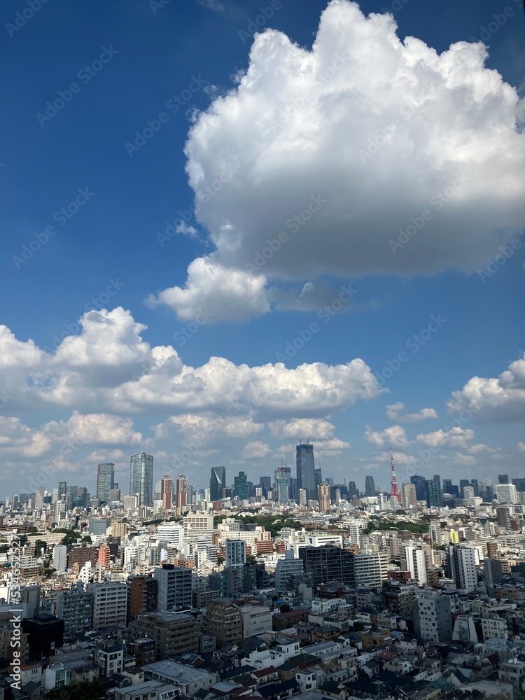 Ebisu and Shibuya Tokyo sky view. Ebisu and Shibuya , Business central town in Tokyo, Japan. Ebisu and Shibuya Tokyo sky view. Ebisu and Shibuya , Business central town in Tokyo, Japan.
